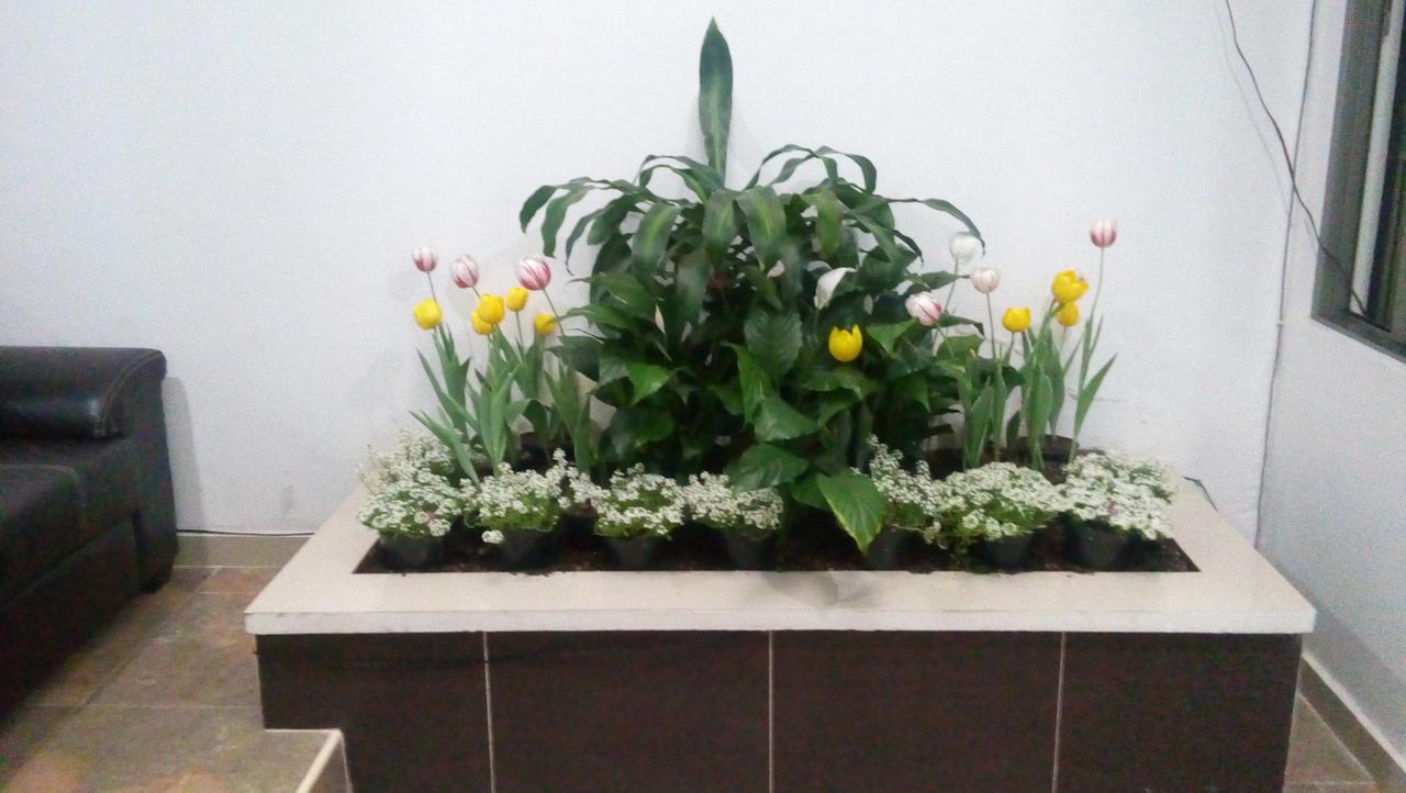 Hotel Alo Inn Xalapa Luaran gambar